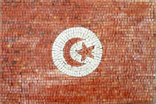 GEO786 Tunisia Flag mosaic reproduction